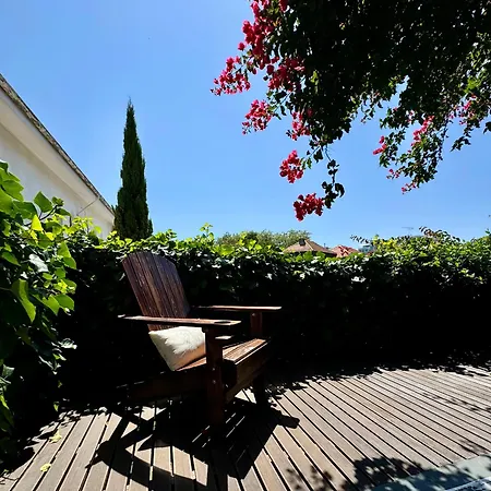 Exclusive Luxury With S-pool & Garden * Oporto